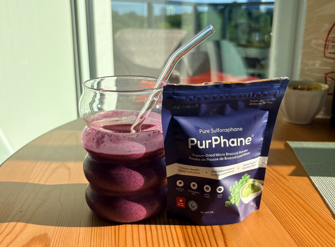 Berry Ginger Inflammation support smoothie