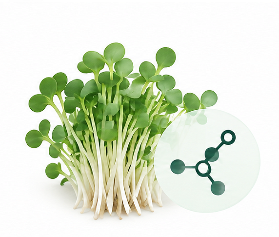 SULFORAPHANE